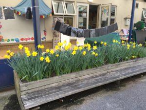 John Scurr school2